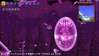泰拉瑞亚