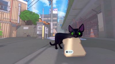 小猫咪，大城市